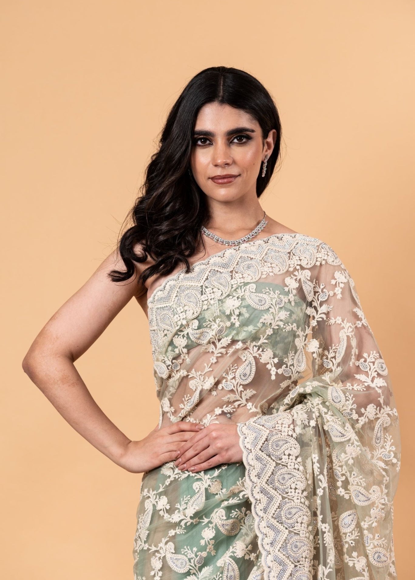 Pastel Green Net Saree with all over Stone and embroidery work And Unstitch blouse - Image 4