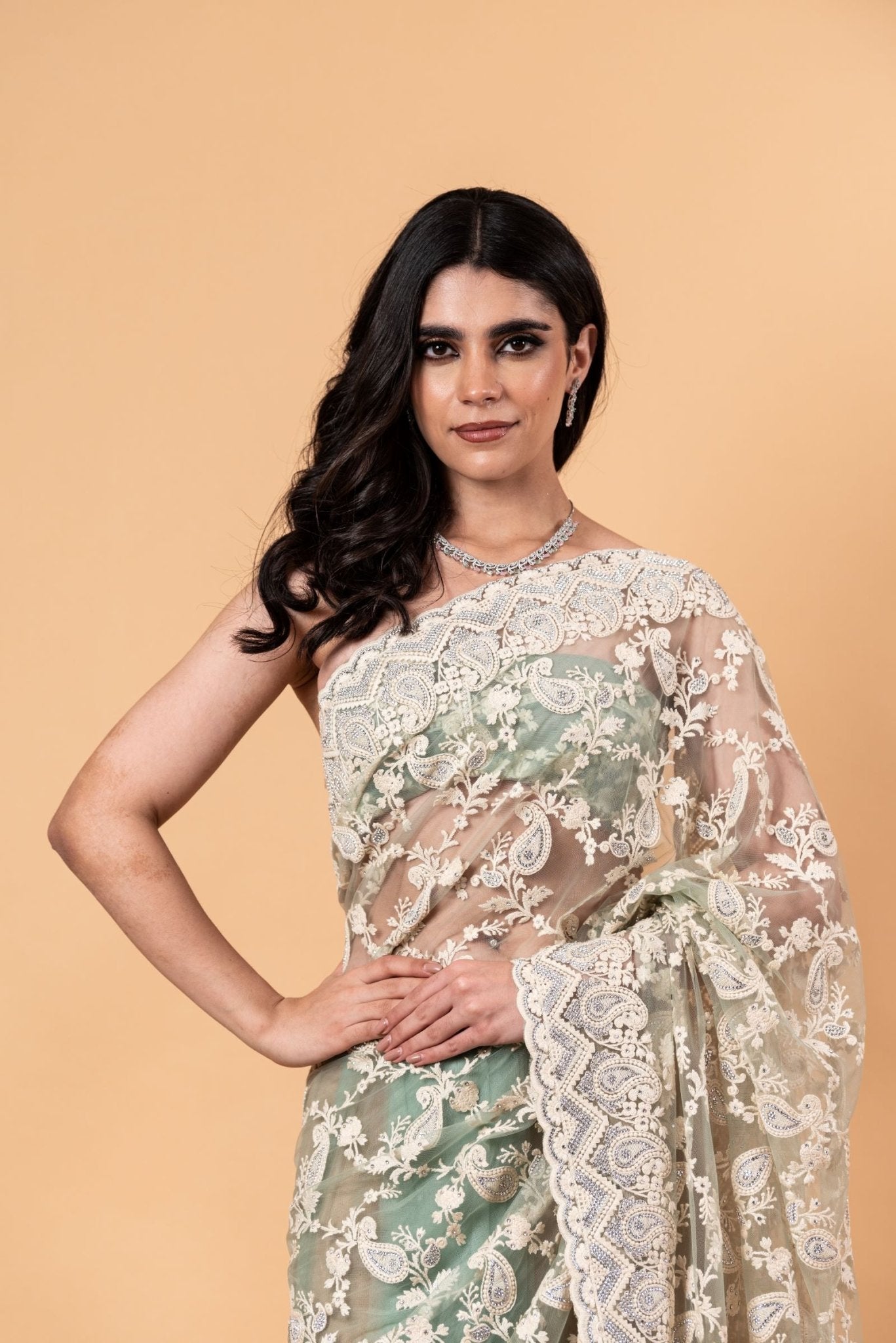 Pastel Green Net Saree with all over Stone and embroidery work And Unstitch blouse - Image 4