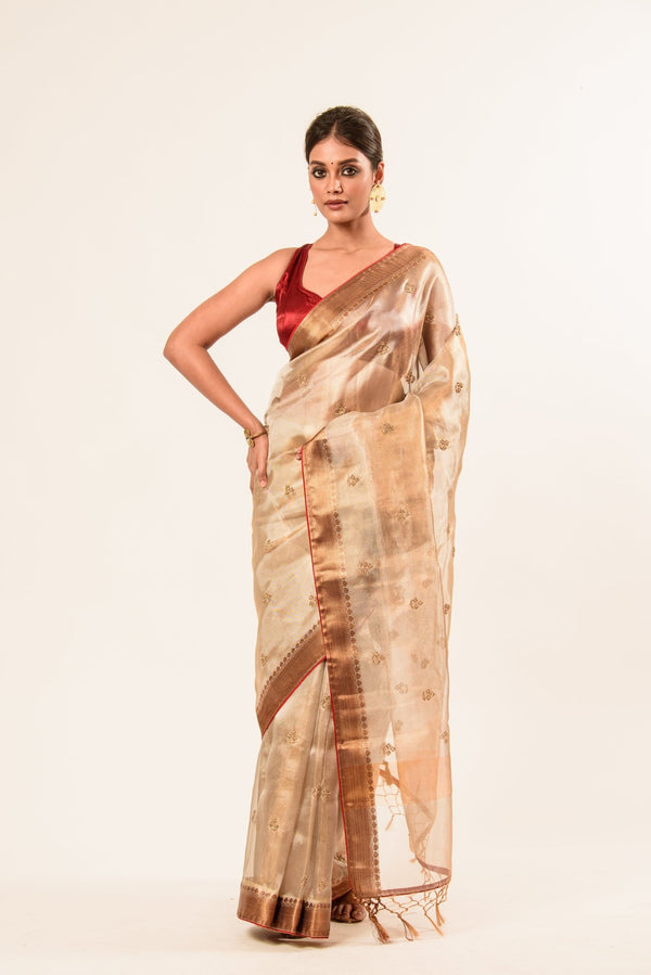 Red and Gold Tissue Silk Saree – Cut Dana Embroidery Work Close-Up – Anvi Couture
