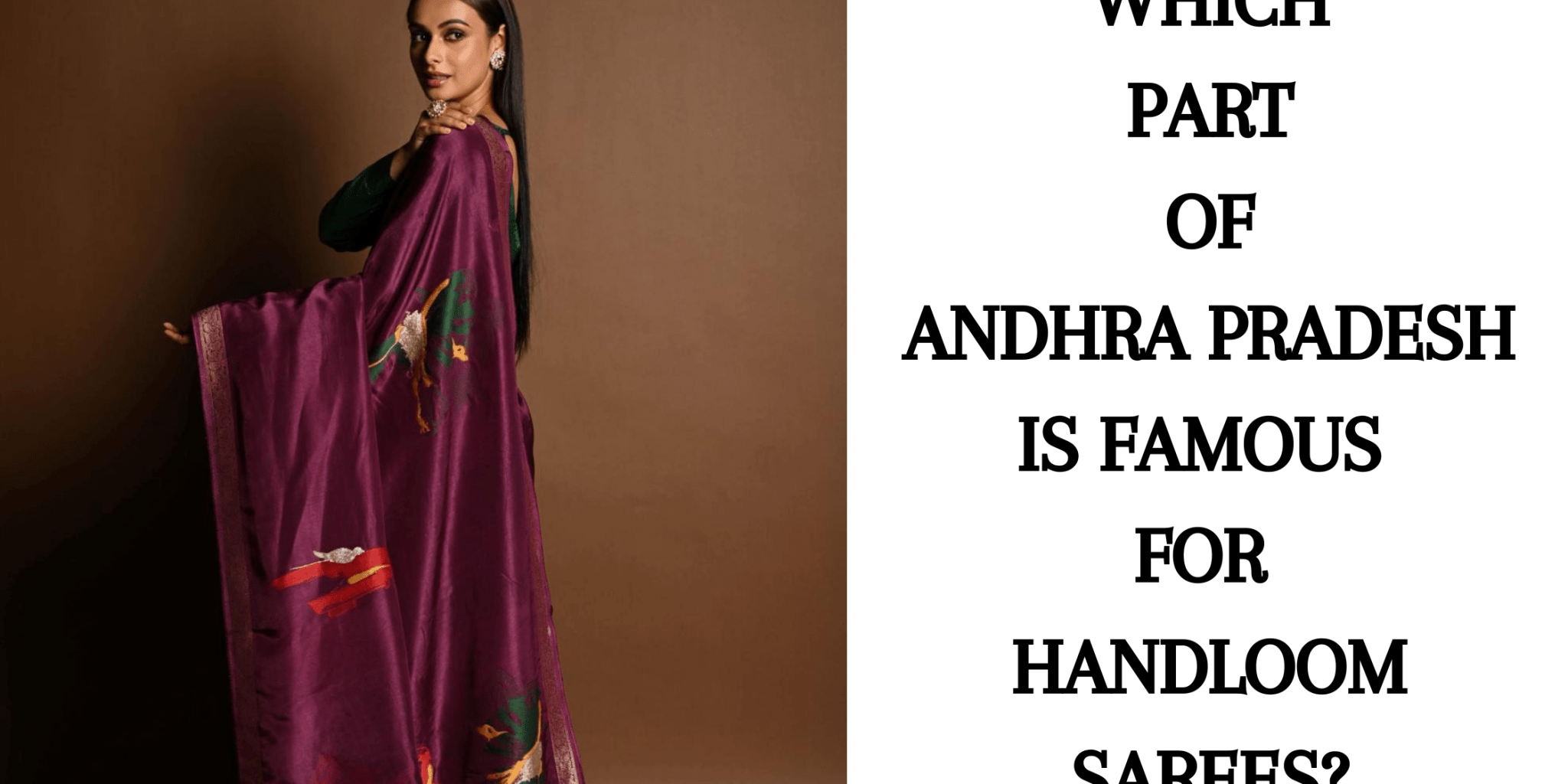 Which Part of Andhra Pradesh is Famous for Handloom Sarees? - Anvi Couture