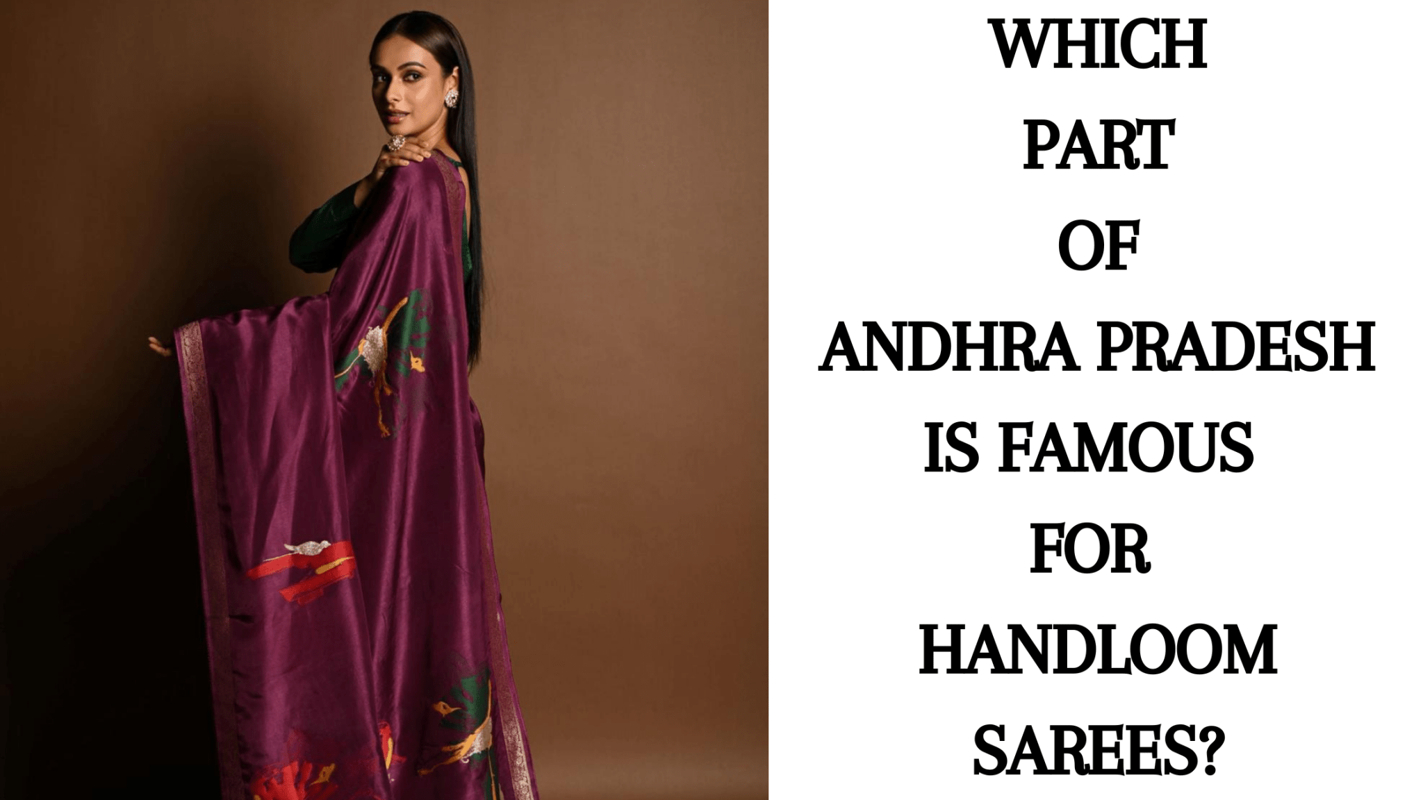 Which Part of Andhra Pradesh is Famous for Handloom Sarees? - Anvi Couture