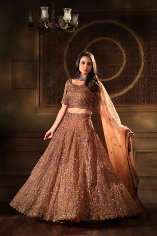 Mocha Brown Hand Embroidered Lehenga Set with Cut dana Embellishment