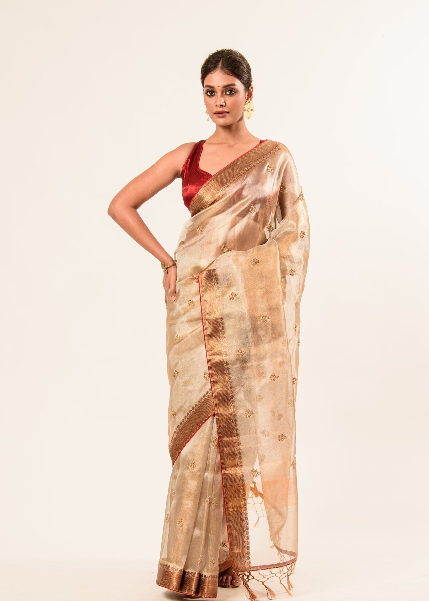 Red and Gold Tissue Silk Saree in Cut Dana Embroidery work - Anvi Couture