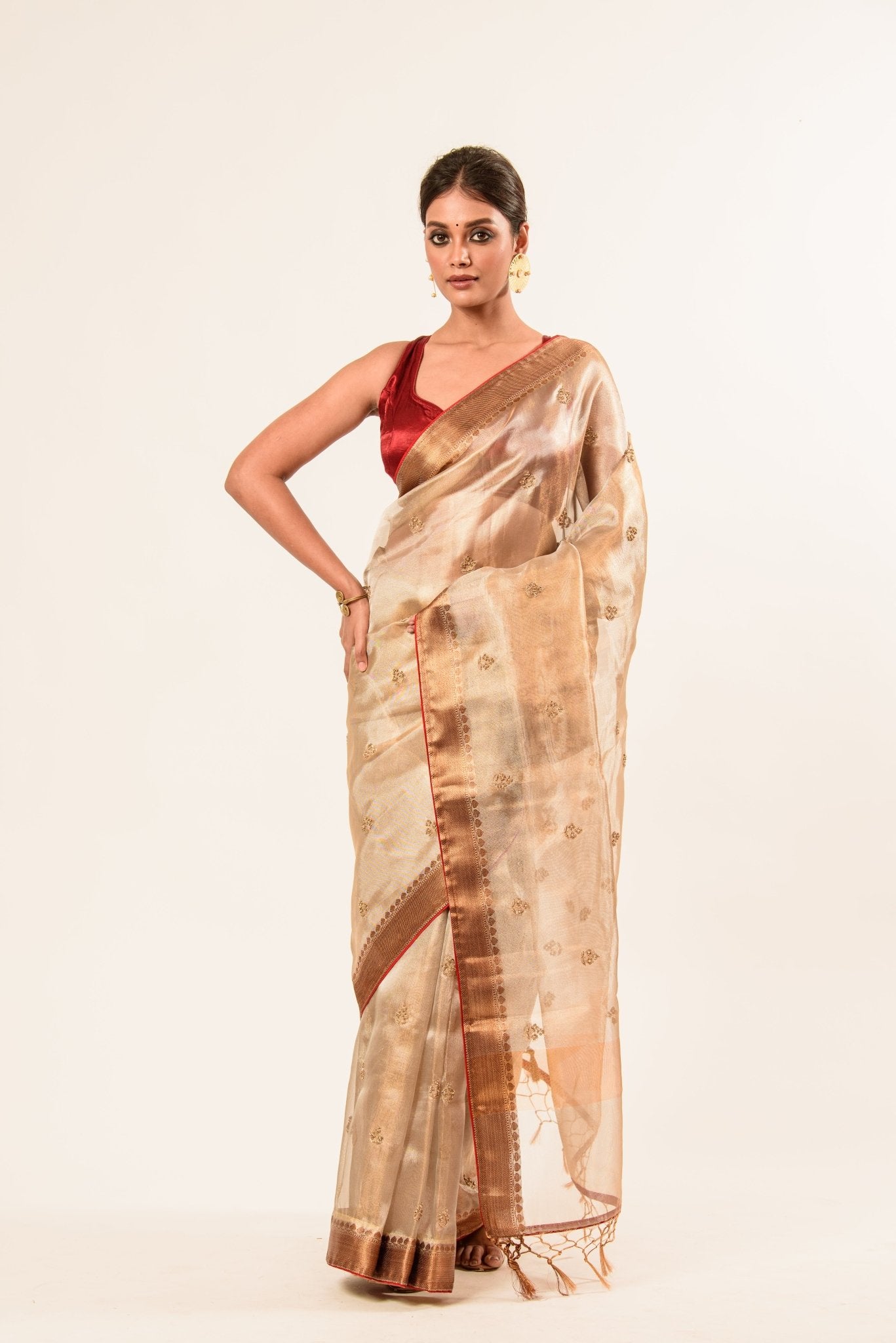 Red and Gold Tissue Silk Saree in Cut Dana Embroidery work - Anvi Couture