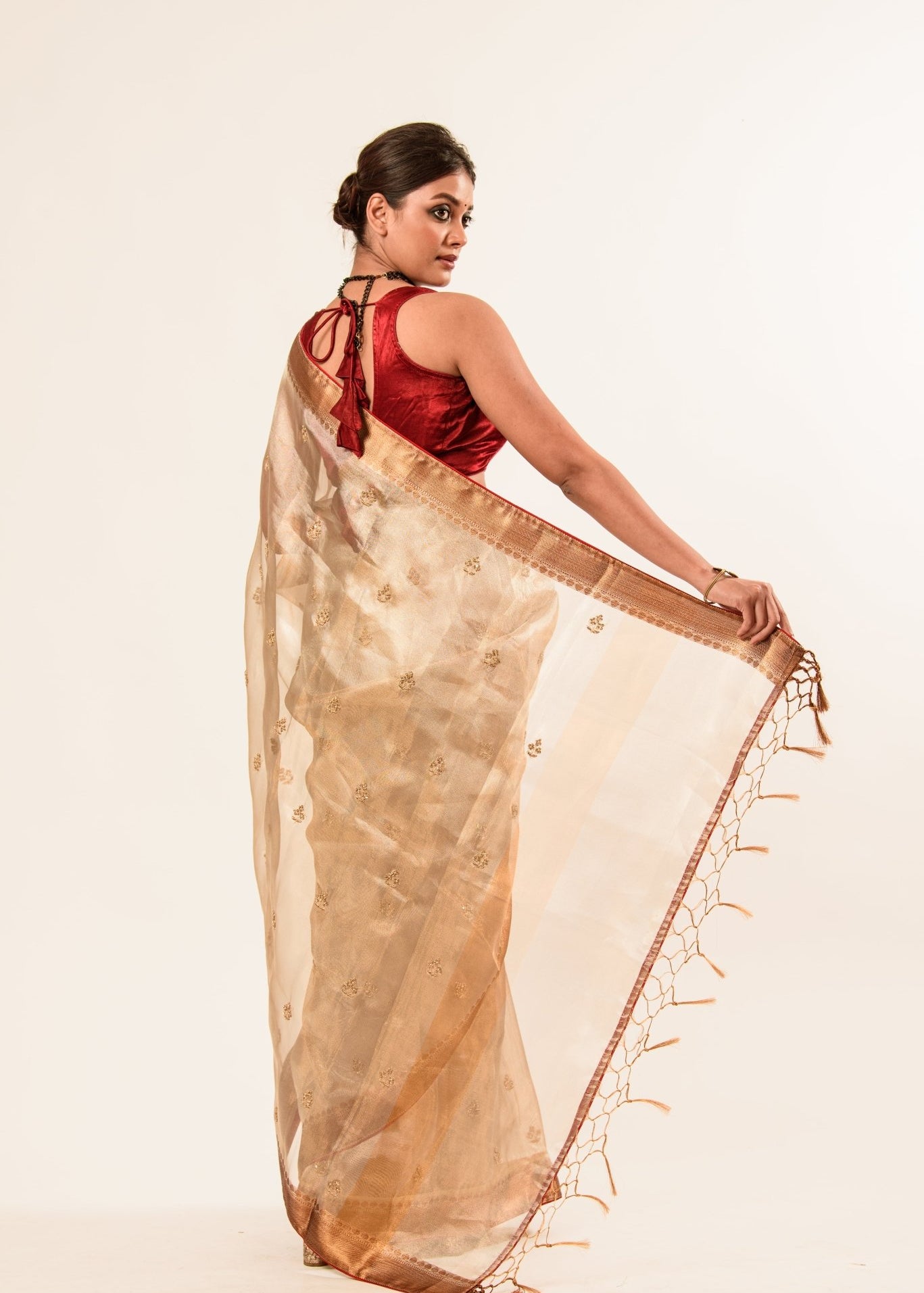 Red and Gold Tissue Silk Saree in Cut Dana Embroidery work - Anvi Couture - Image 4
