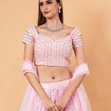 Pink Net Lehenga Set with Cutdana Embroidery - Anvi Couture