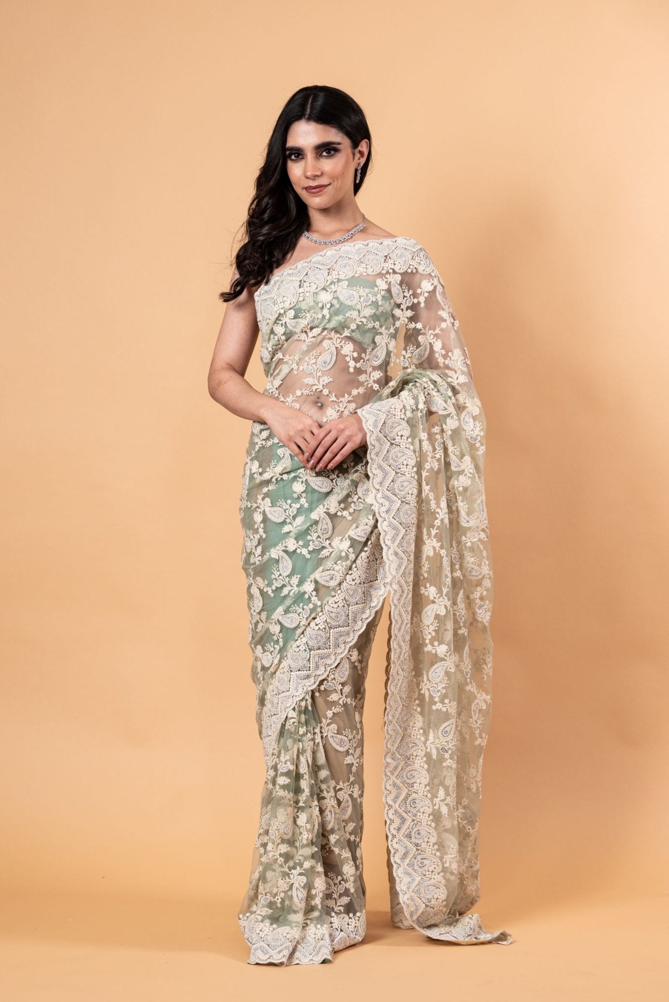 Pastel Green Net Saree with all over Stone and embroidery work And Unstitch blouse - Anvi Couture