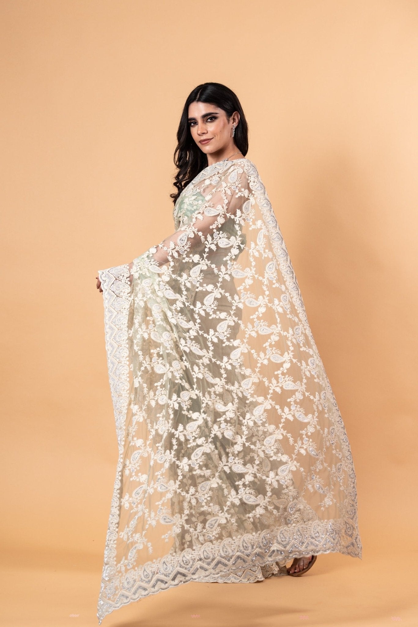 Pastel Green Net Saree with all over Stone and embroidery work And Unstitch blouse - Anvi Couture