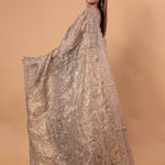 Silver Tissue Silk Saree with All - Over Zari Embellished Floral Work - Anvi Couture