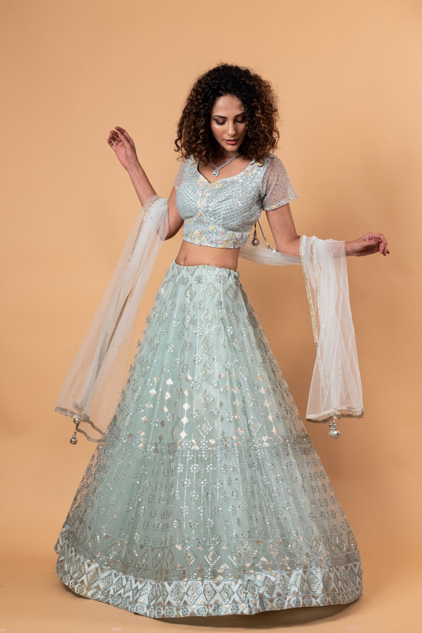 Light Blue Net Lehenga with Embroidery Work - Anvi Couture