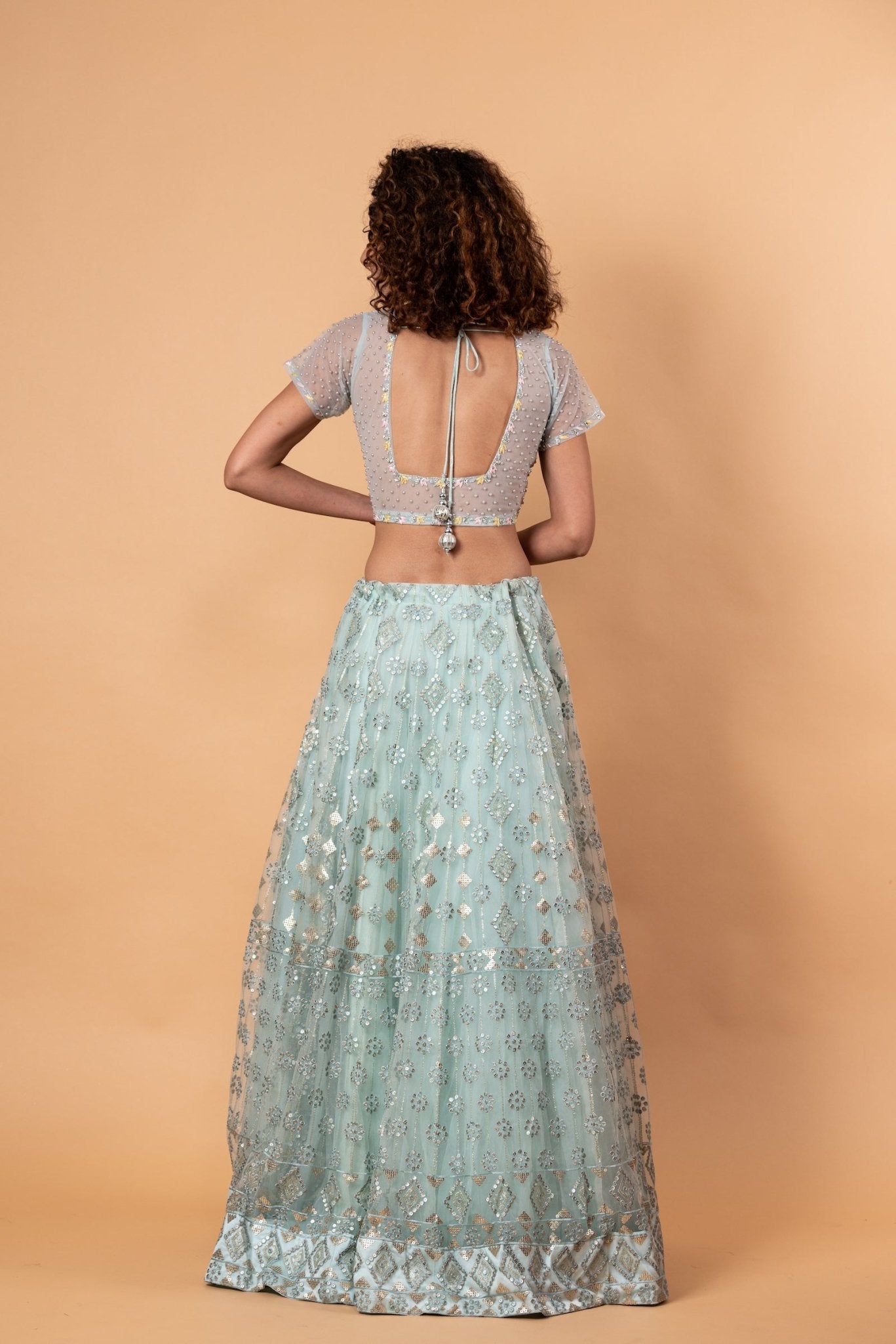 Light Blue Net Lehenga with Embroidery Work - Anvi Couture