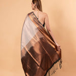 Gray Handwoven Gadwal Pure Silk Saree with Contrasting Copper Zari Border - Anvi Couture