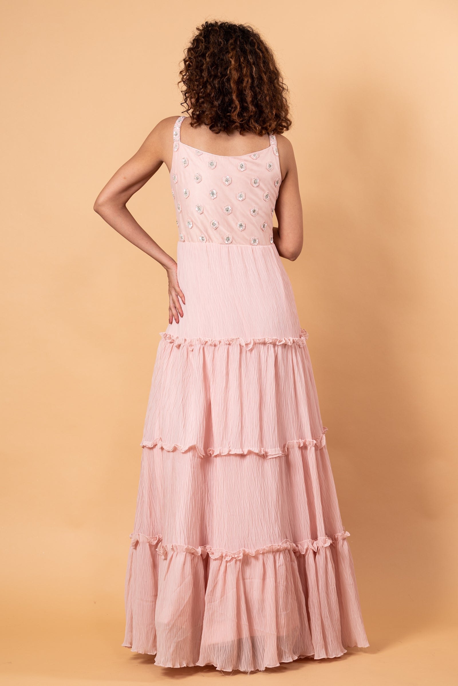 Pastel Pink Embroidered Gown Back Side