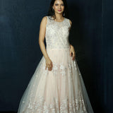 Light Pink Gown on Net with Swarovski embroidery work