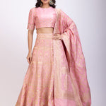 Blush Pink Banarasi Hand Embroidered Lehenga Set  full