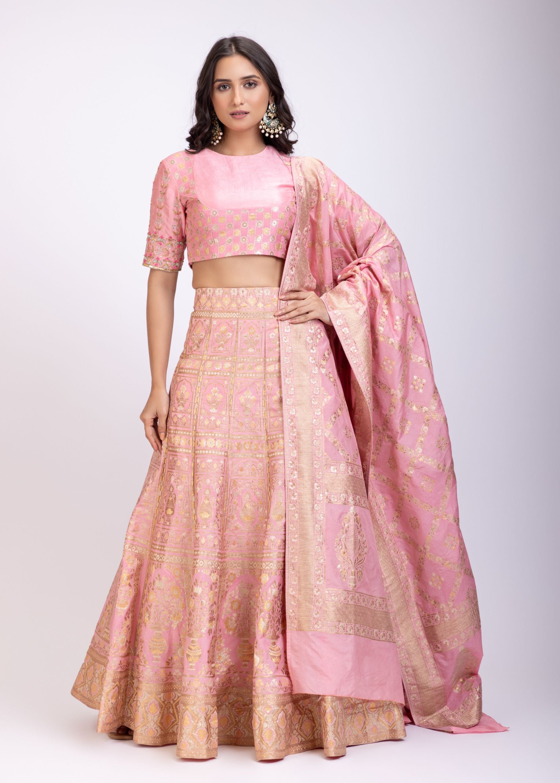 Blush Pink Banarasi Hand Embroidered Lehenga Set  full