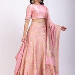 Blush Pink Banarasi Hand Embroidered Lehenga Set  front