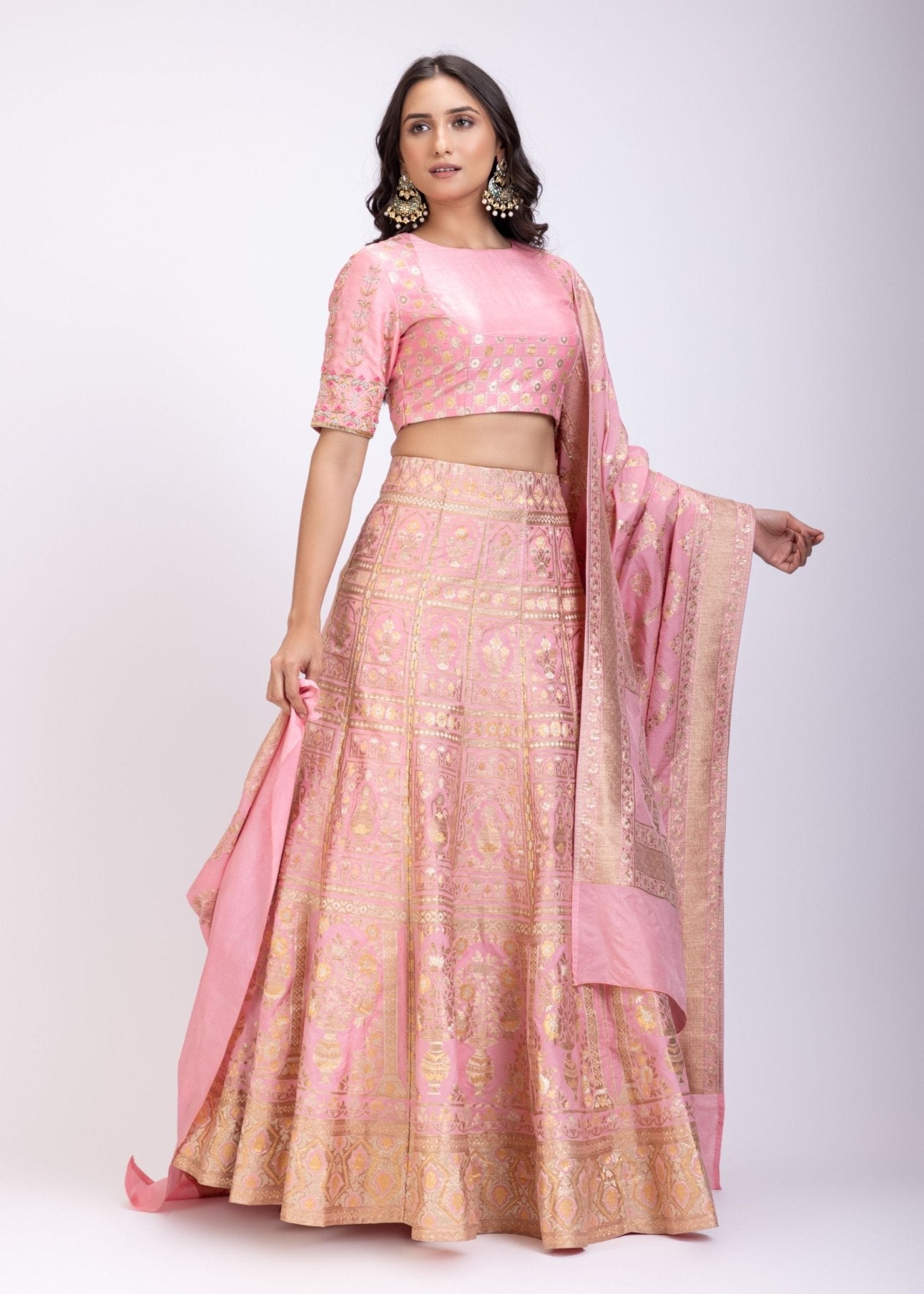 Blush Pink Banarasi Hand Embroidered Lehenga Set - Anvi Couture