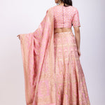 Blush Pink Banarasi Hand Embroidered Lehenga Set back