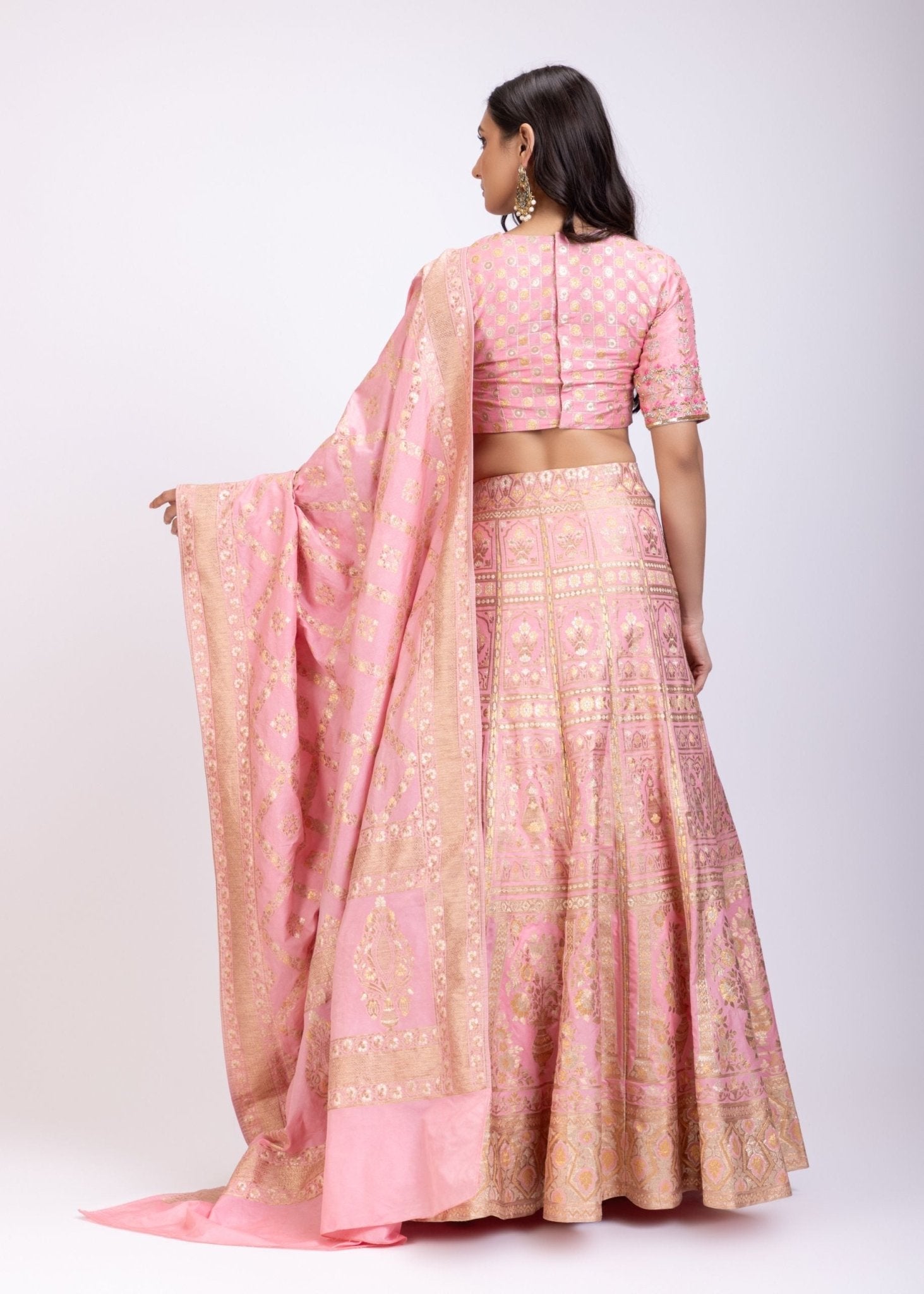 Blush Pink Banarasi Hand Embroidered Lehenga Set - Anvi Couture