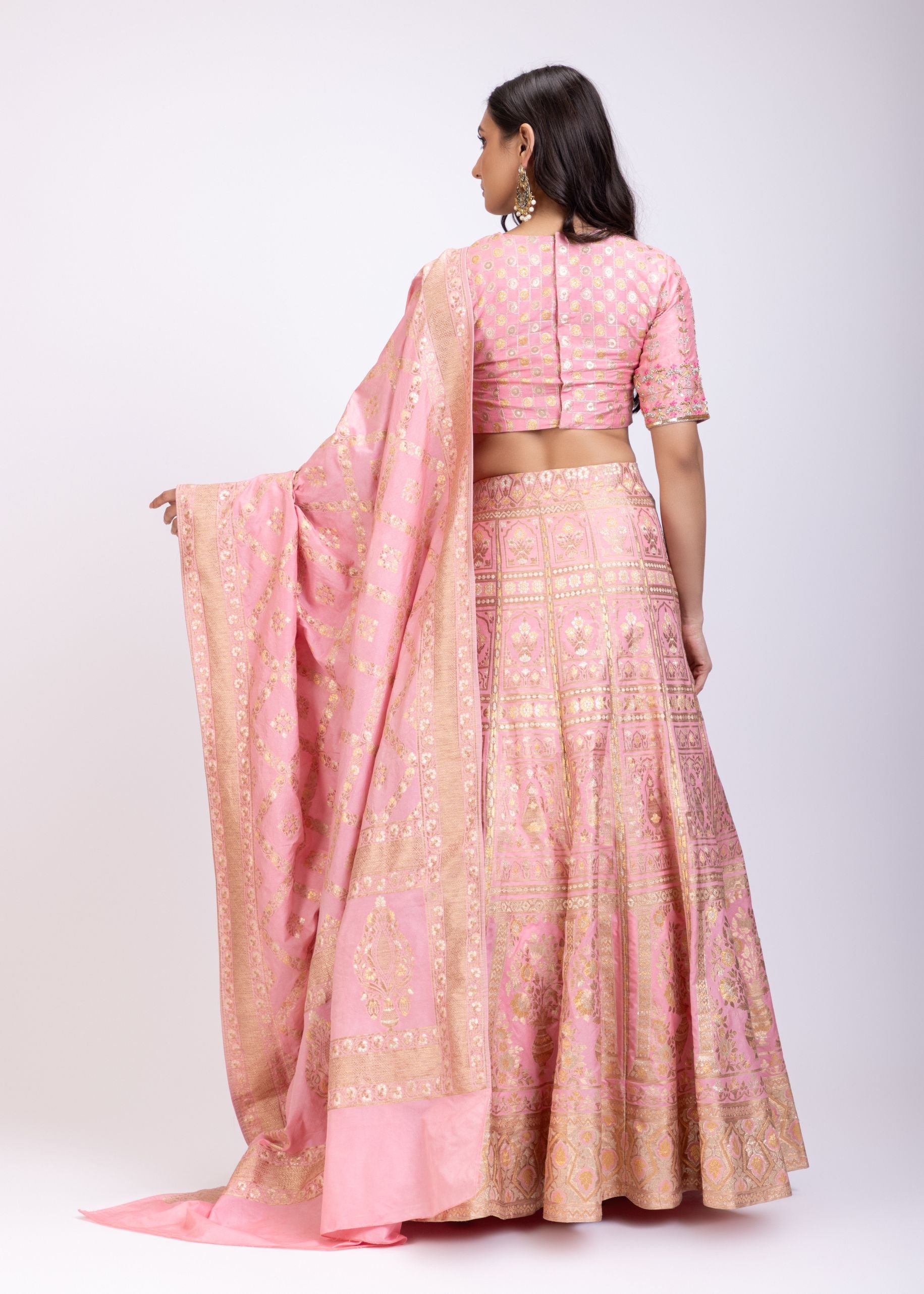 Blush Pink Banarasi Hand Embroidered Lehenga Set back