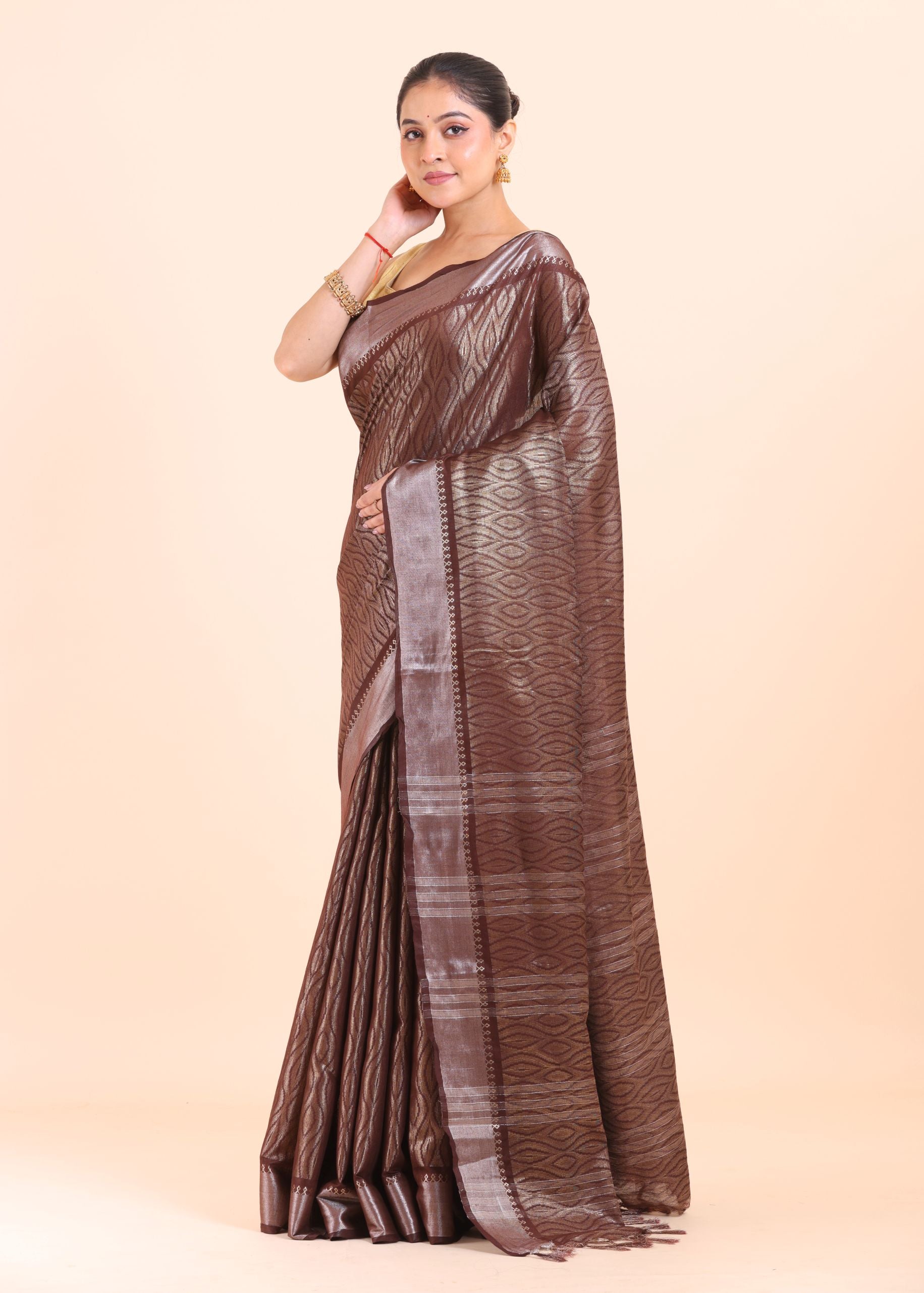 Brown Handloom Tissue Saree With Silver Border Side View