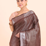 Brown Handloom Tissue Saree With Silver Border Close Up View