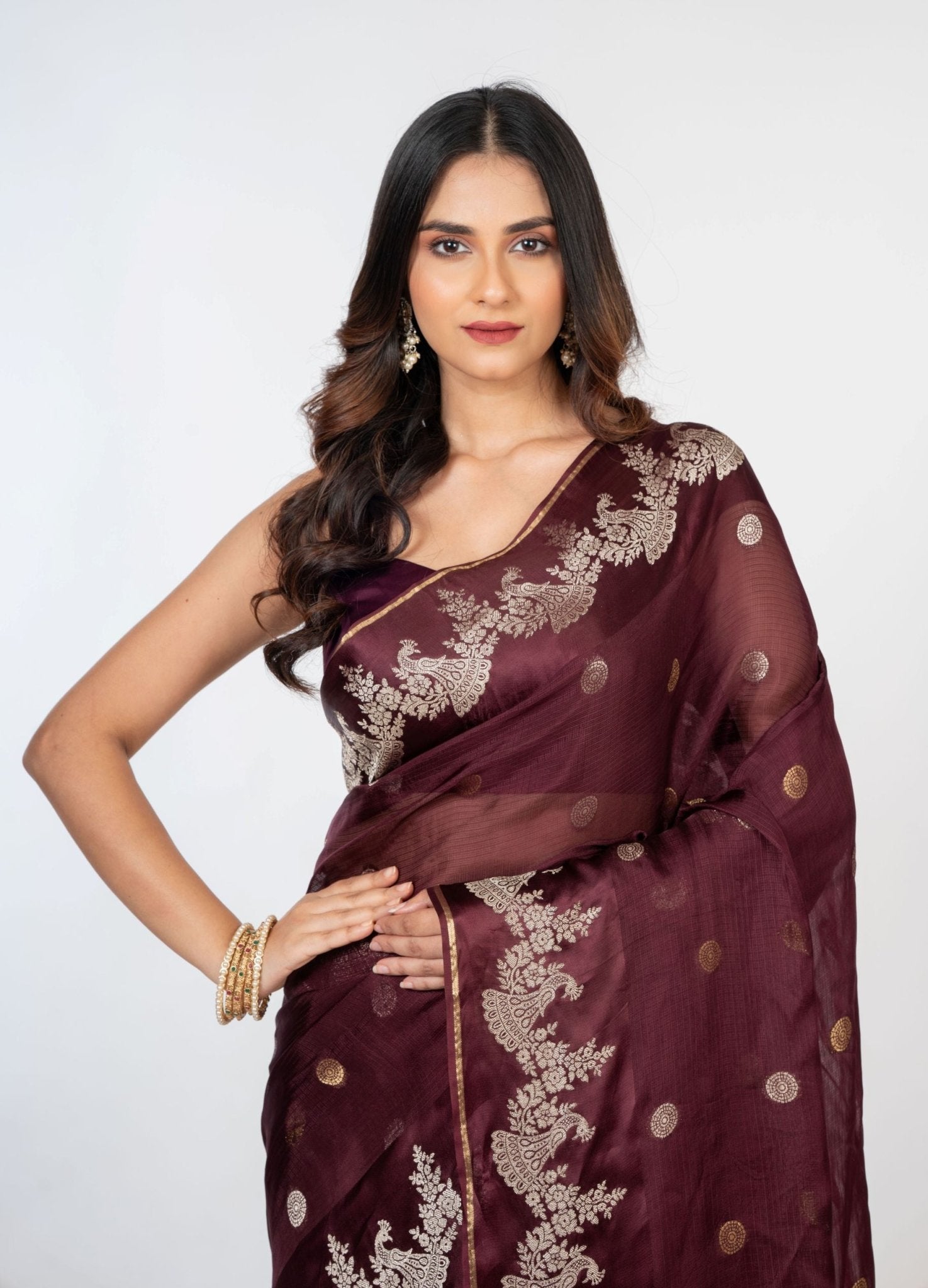 Brown Organza Silk Saree with Gold and Silver Zari Border and Pallu - Anvi Couture