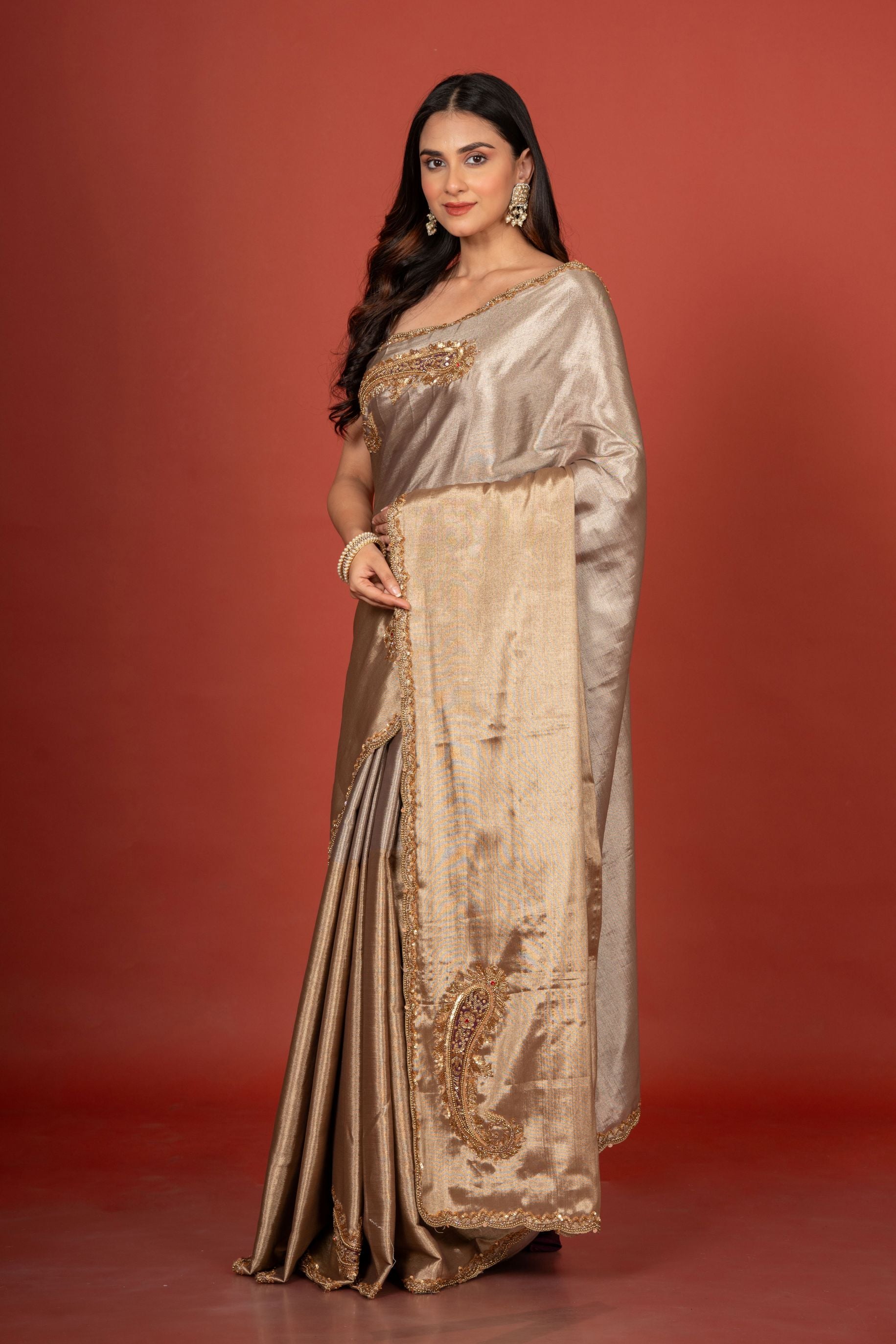 Gold and Silver  tissue Silk Saree With Embroidered Work Front
