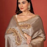 Gold and Silver  tissue Silk Saree With Embroidered Work Close Up
