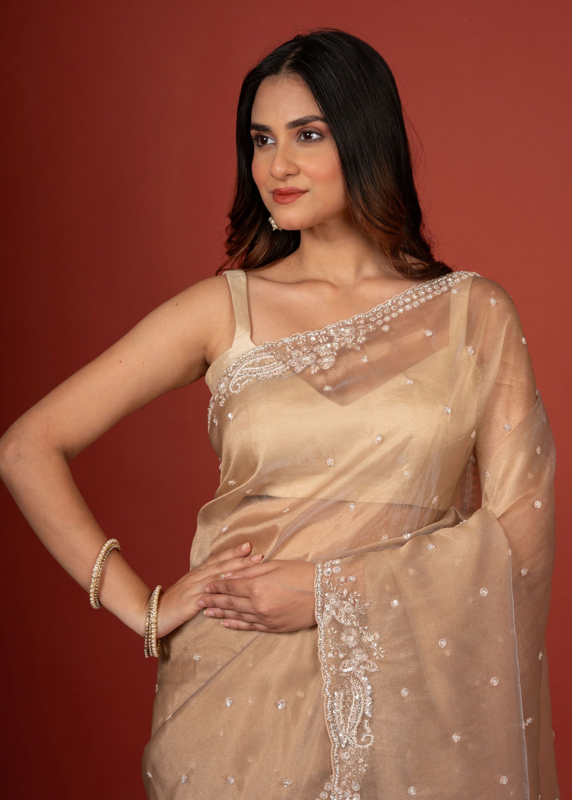 Golden Tissue Silk Saree With Embroidered Work Close Up

