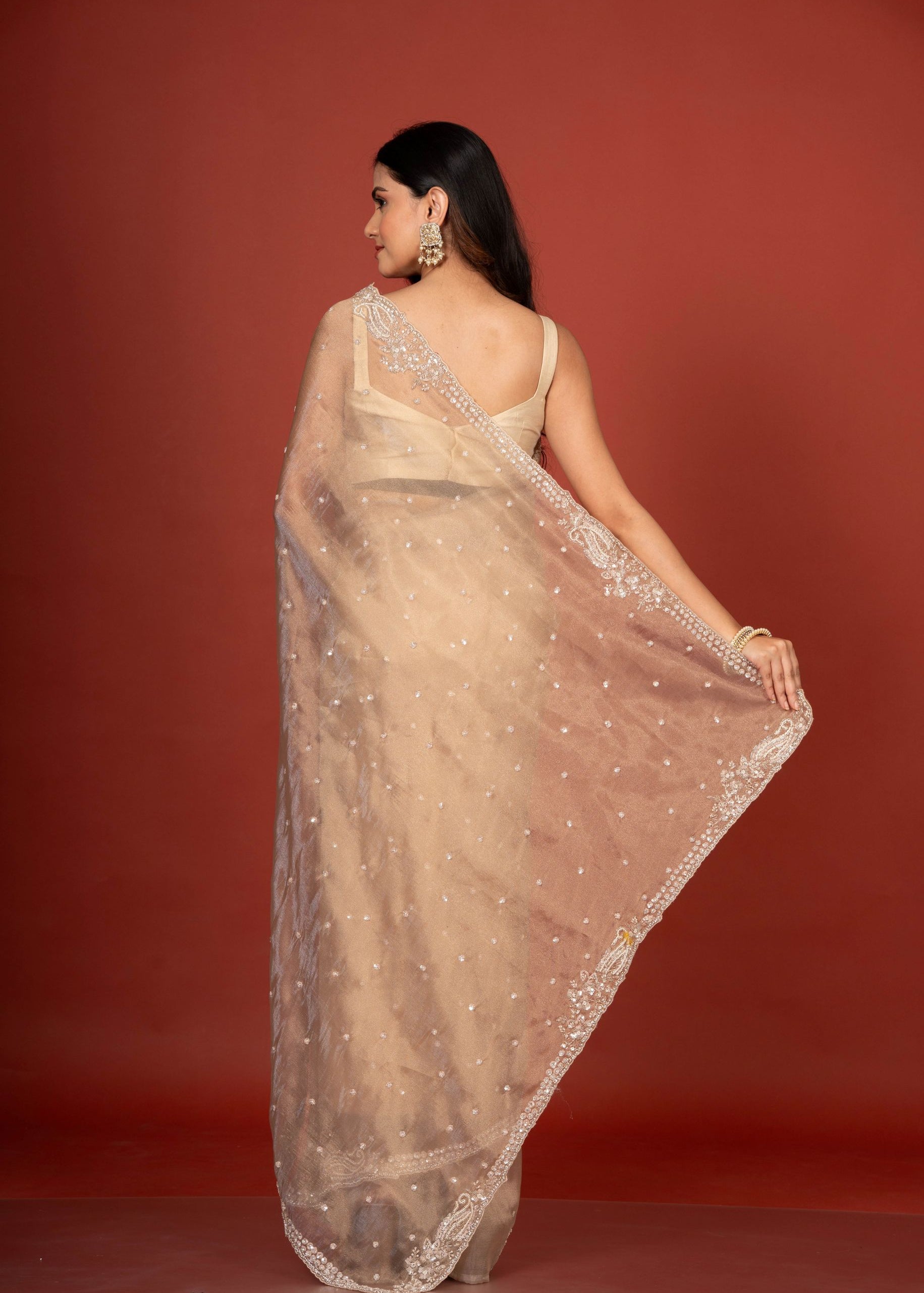 Golden Tissue Silk Saree With Embroidered Work Back

