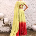Green and Maroon Ombre Lehenga with Floral Embroidery Back