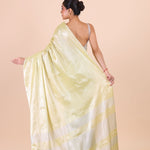 Light Green Handloom Tissue Saree back