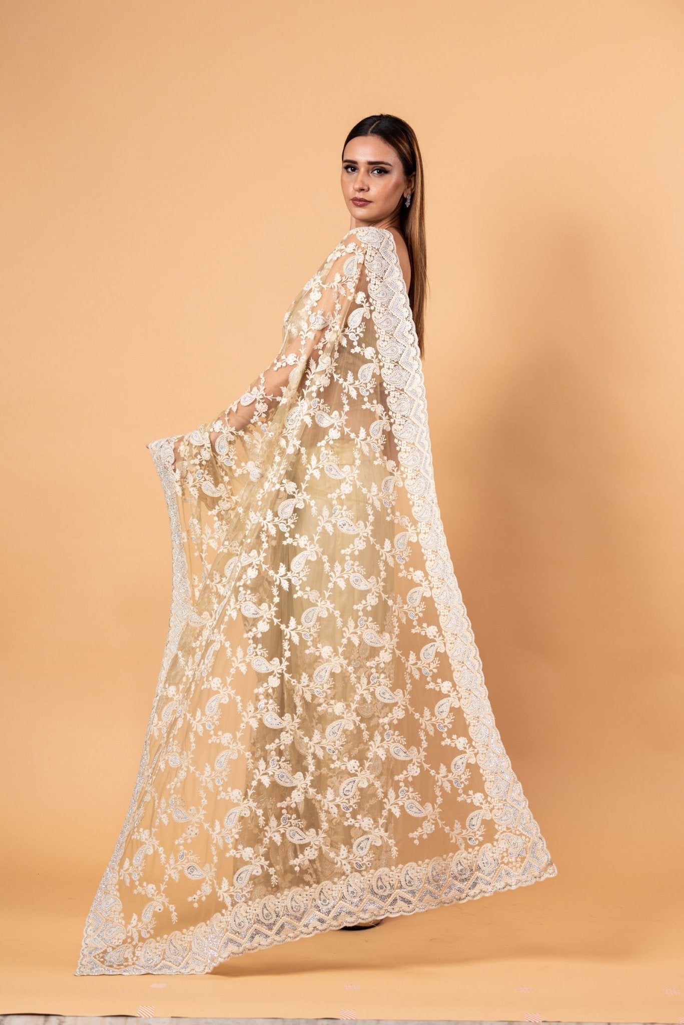 Light Mint Green Net Saree with Stonework 