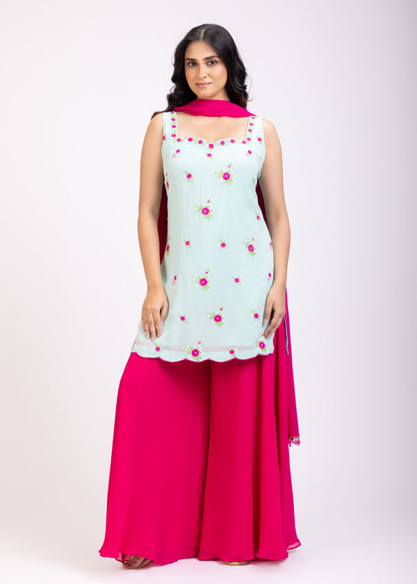 Light blue and Pink Sharara Set With Floral Embroidery full