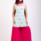 Light blue and Pink Sharara Set With Floral Embroidery front