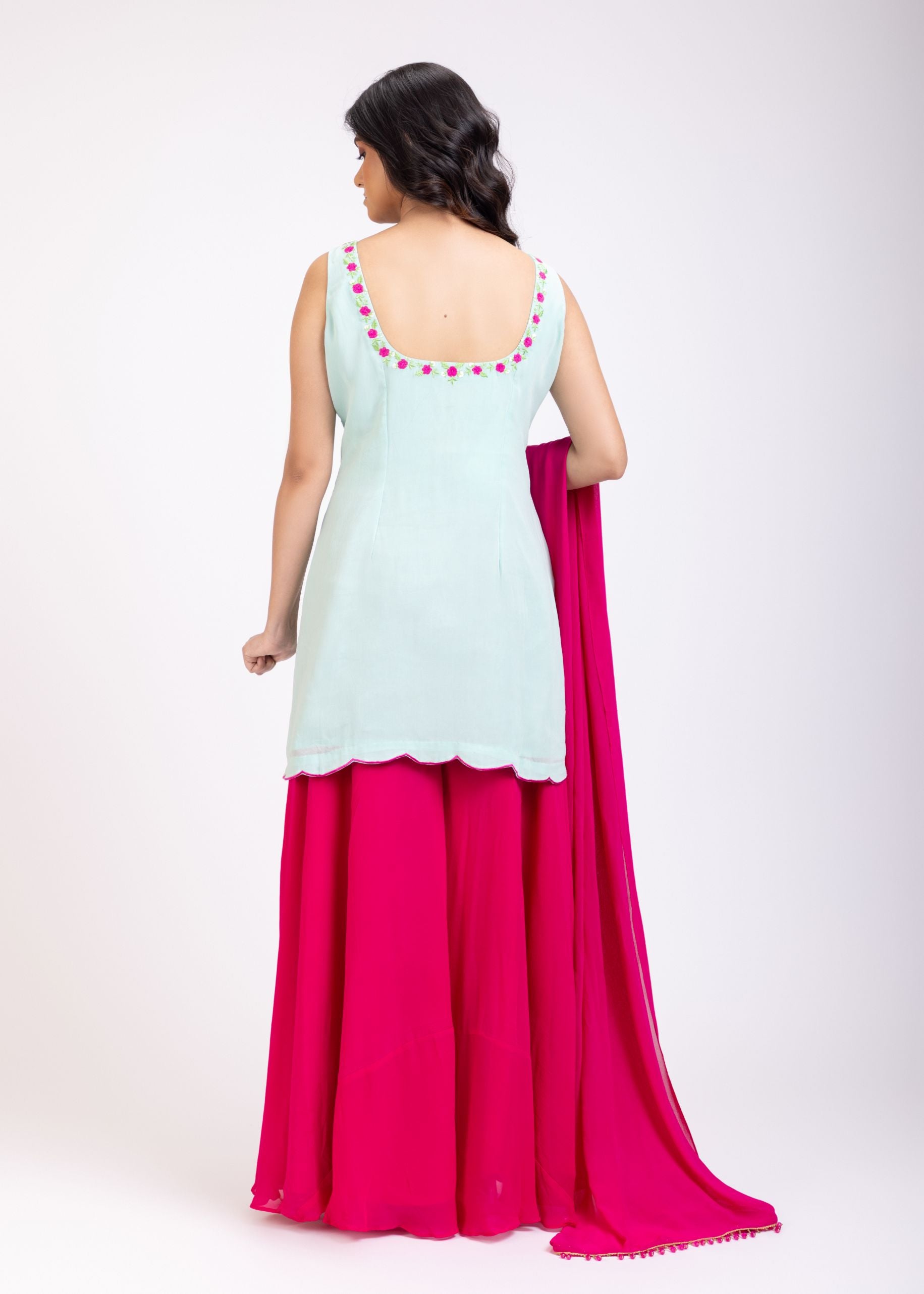 Light blue and Pink Sharara Set With Floral Embroidery back