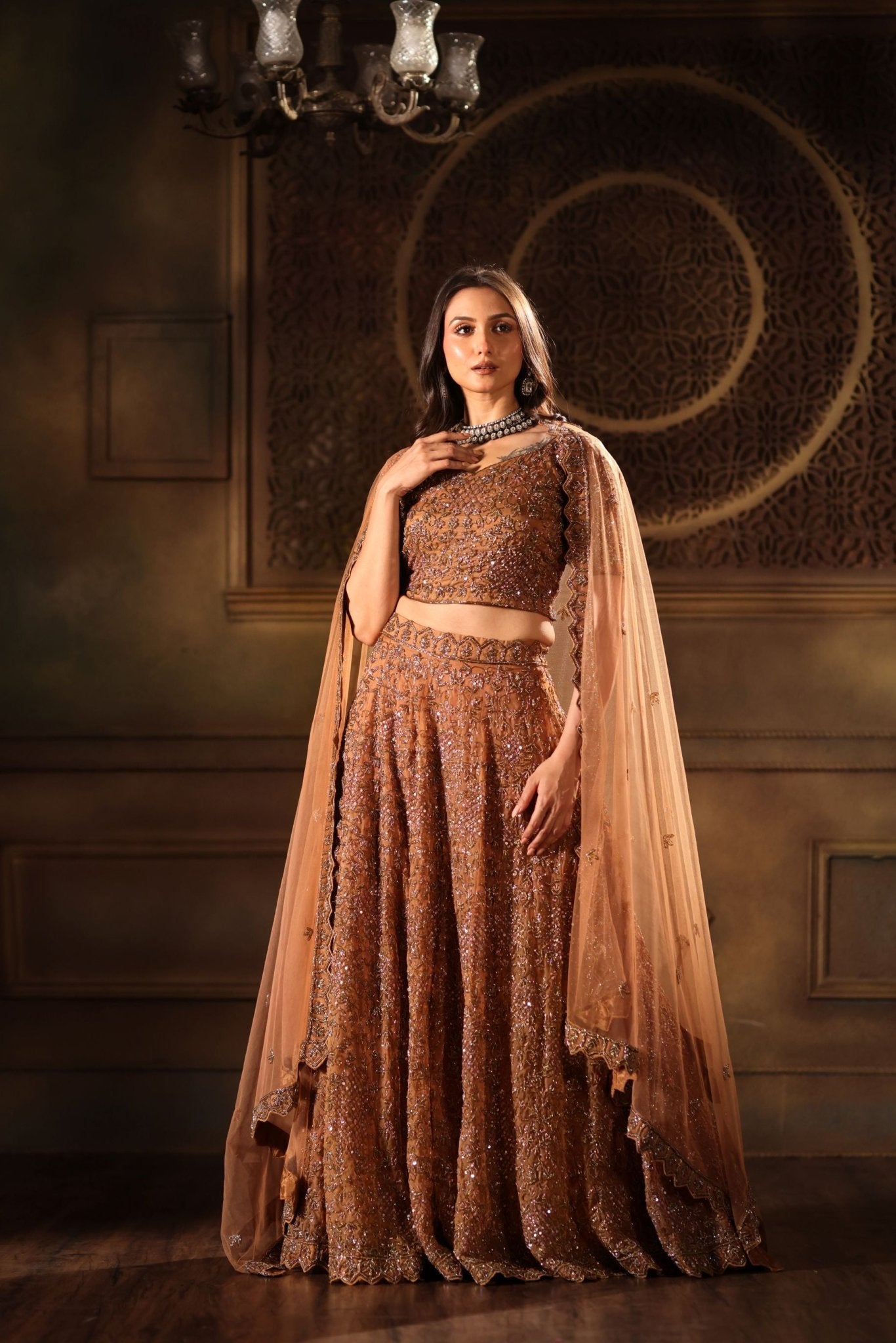 Mocha Brown Hand Embroidered Lehenga Set with Cut dana Embellishment -Front 2
