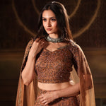 Mocha Brown Hand Embroidered Lehenga Set with Cut dana Embellishment - Close