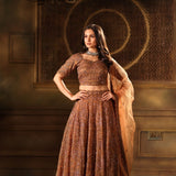 Mocha Brown Hand Embroidered Lehenga Set with Cut dana Embellishment - Anvi Couture