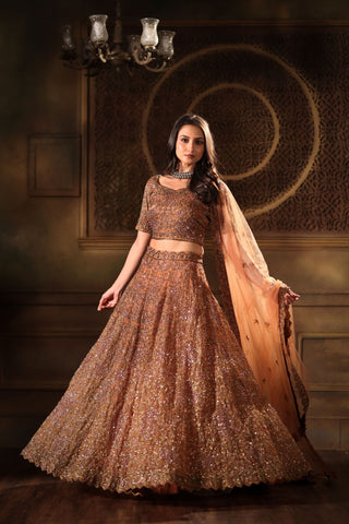 Mocha Brown Hand Embroidered Lehenga Set with Cut dana Embellishment