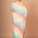 Multicolor Handloom Cotton Saree Back