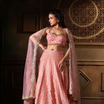 Pink Bridal Lehenga Set  With Heavy Embroidered Work full