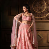 Pink Bridal Lehenga Set  With Heavy Embroidered Work full