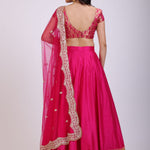 Pink Silk Lehenga Set with Brocade Top back