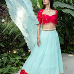 Royal Rani Pink and Blue Embroidered Lehenga - Anvi Couture