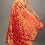 Red Banarasi Tissue Silk Saree with Allover Gold Zari Woven Back
