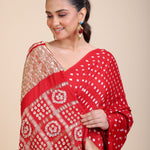 Red Bhadhani Mashru Silk Saree With Hand Embroidered Work Close Up
