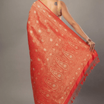 Red Brocade Katan Banarasi Saree - Back